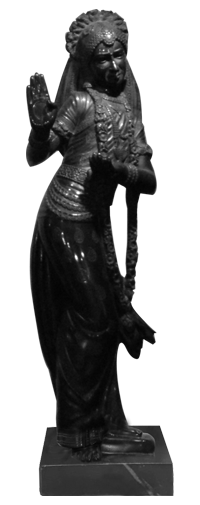Bībhatsa Rasa
